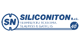 Siliconiton Srl